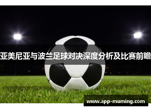 亚美尼亚与波兰足球对决深度分析及比赛前瞻